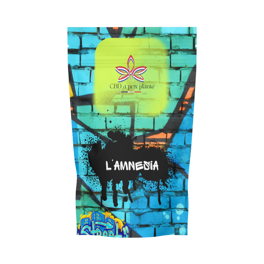 L'AMNESIA Premium